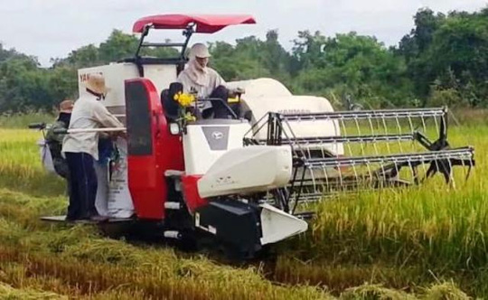 Giành địa bàn gặt lúa, chém 2 chú cháu trọng thương