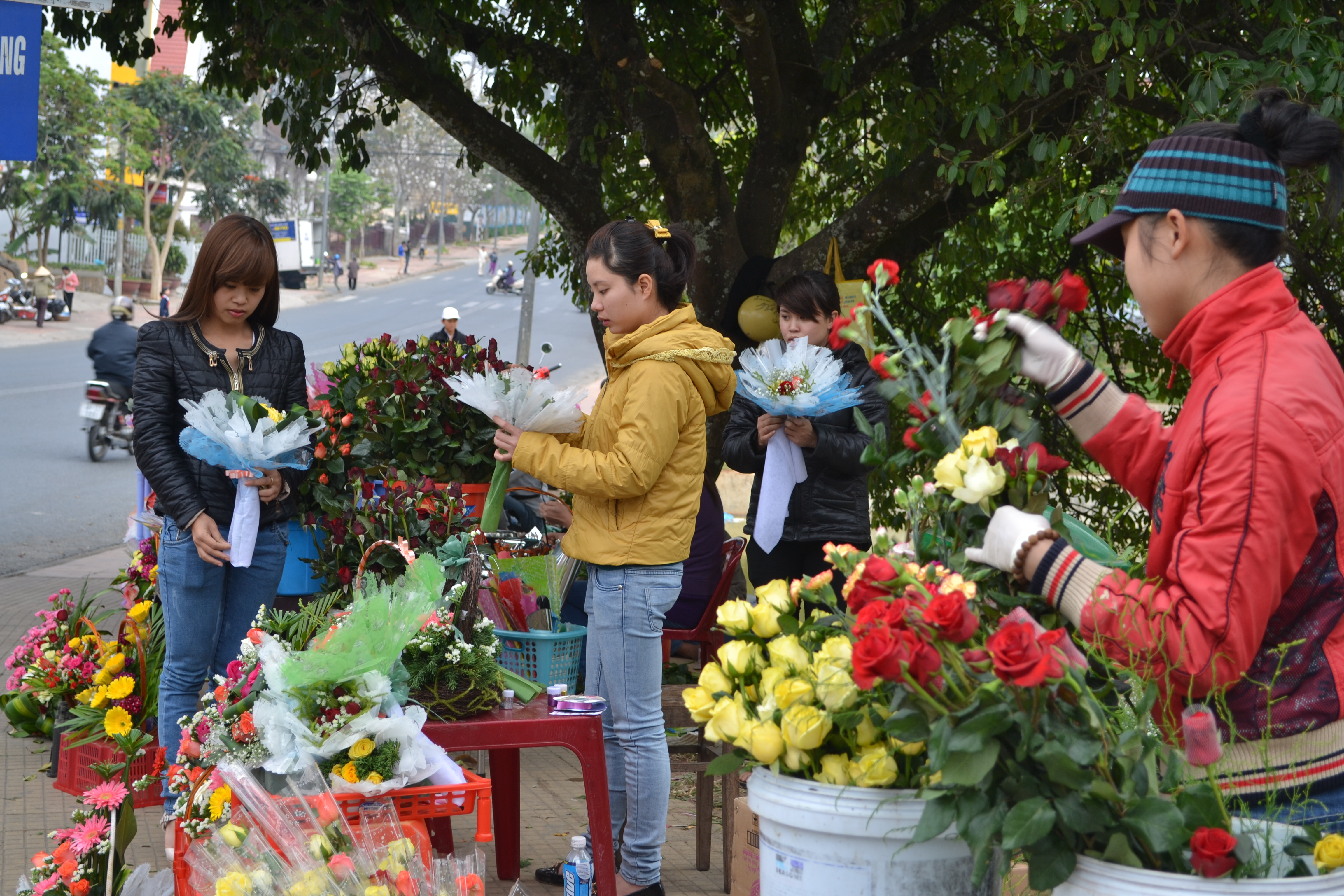 
So với mọi năm, tại c&aacute;c ng&atilde; 4 gần trường học, sinh vi&ecirc;n b&aacute;n hoa rất nhiều. Nhưng năm n&agrave;y th&igrave; vắng b&oacute;ng bởi khan hiếm v&agrave; gi&aacute; tăng cao n&ecirc;n b&aacute;n ra kh&ocirc;ng c&oacute; lời.
