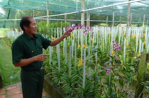 Làm giàu mảnh đất cha ông