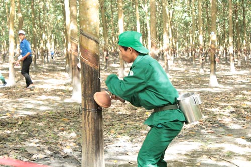 Tạo động lực cho công nhân