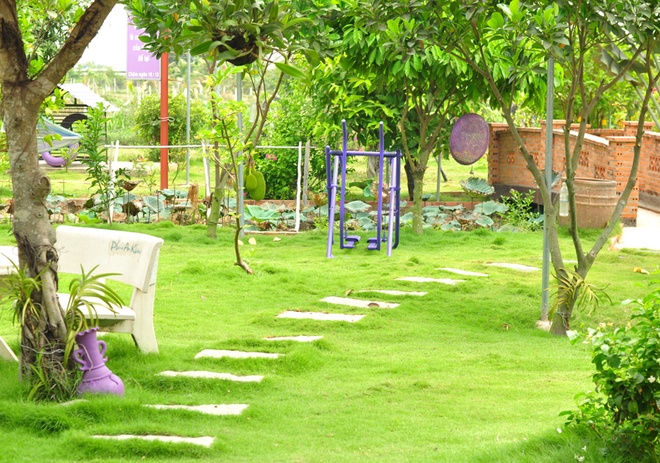 Khu vườn 3000 m2 rợp cây xanh trên đất cằn, nước mặn ở Sài Gòn