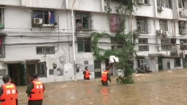 Trung Quốc: Lụt lớn "đẩy" cá sấu ra đồng