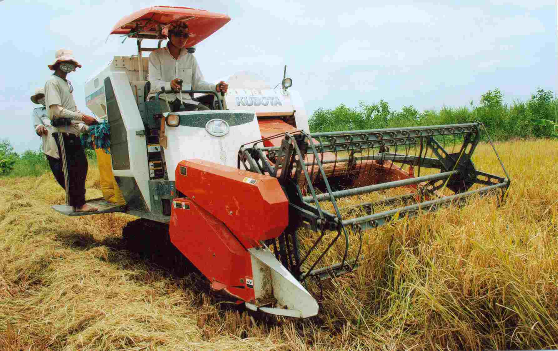 Tiếp tục cởi trói