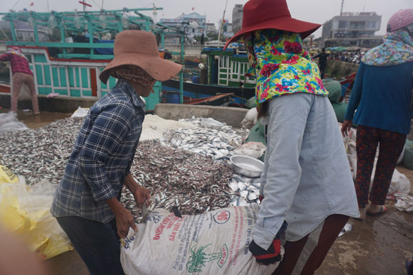 Những "bóng hồng" ở cảng cá Sa Kỳ