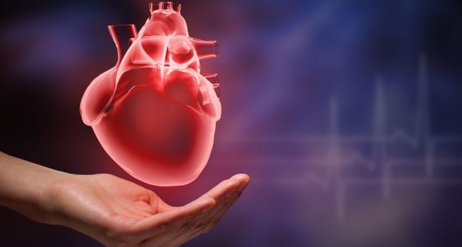 Ăn nhiều đường dễ bị đau tim