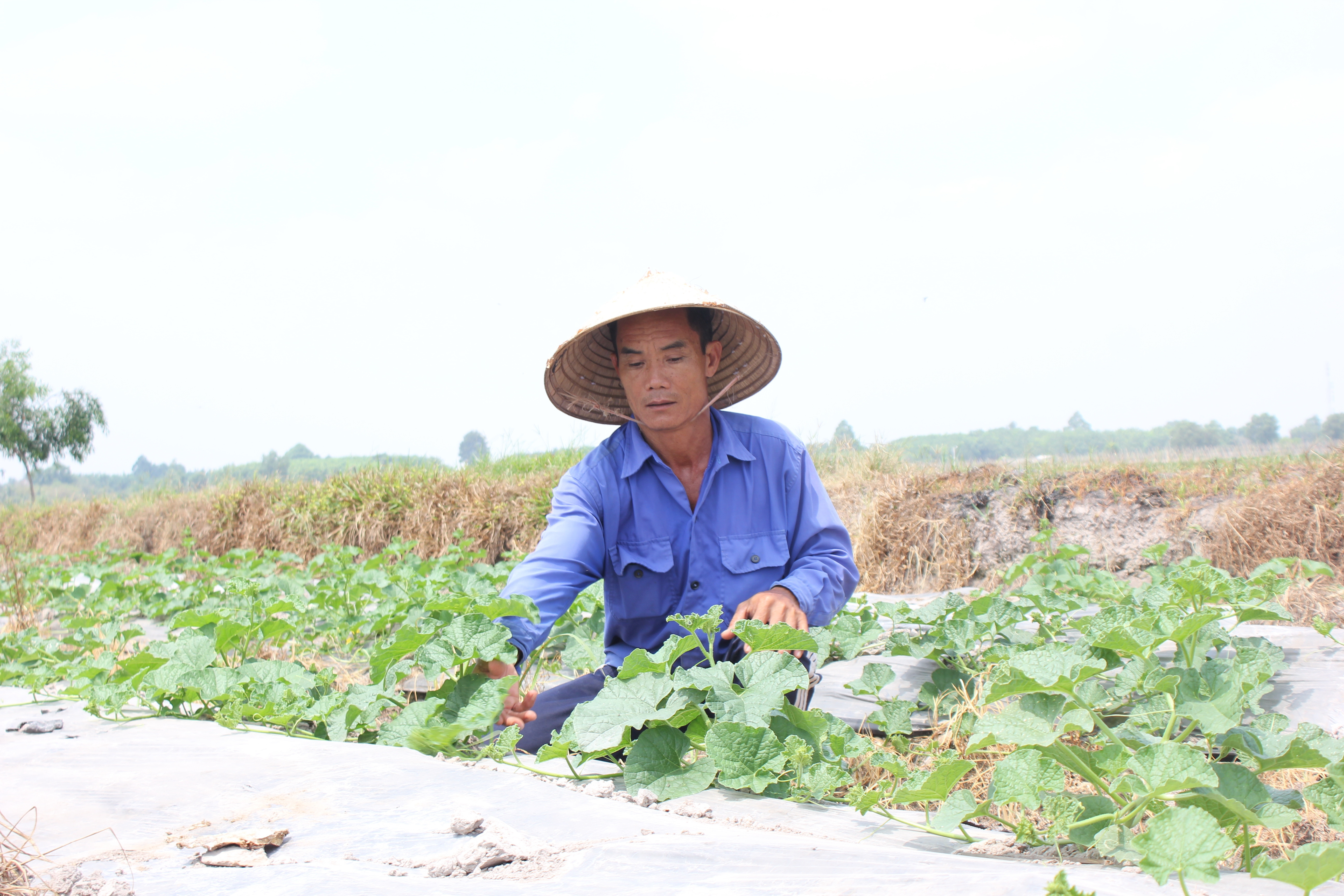 “Đất thép” mạnh mẽ vươn mình