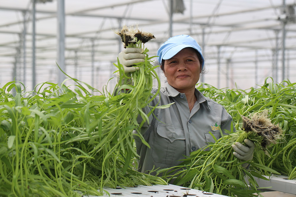 Nơi nông dân chỉ… “đo cây, ấn nút”