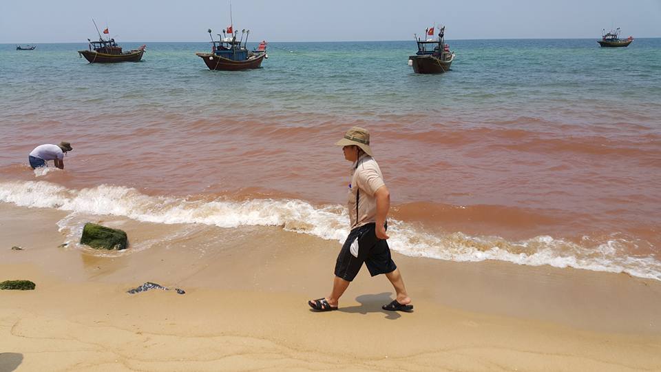 Xuất hiện vệt nước màu đỏ dài 1,5 km trên vùng biển Quảng Bình