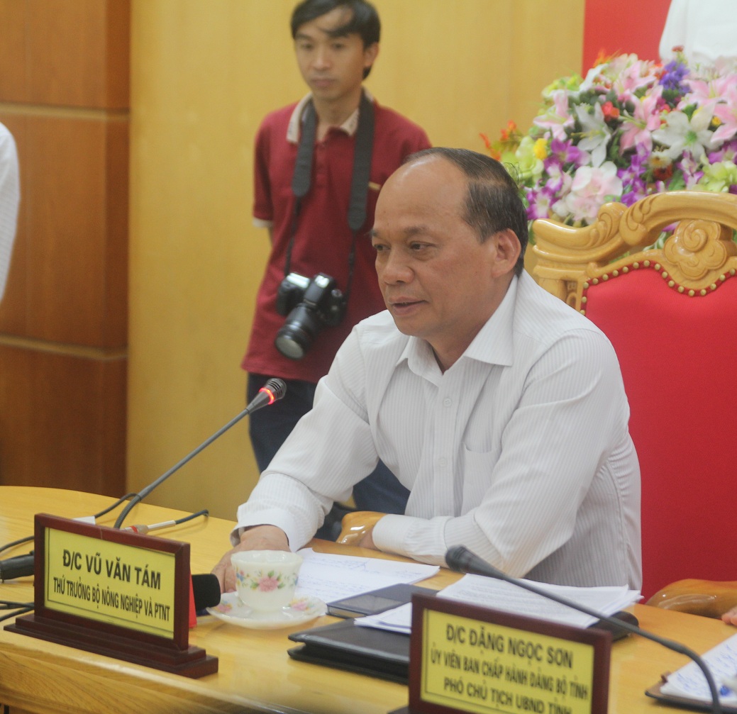 Đường ống xả thải ngầm dưới biển của Formosa được cấp phép