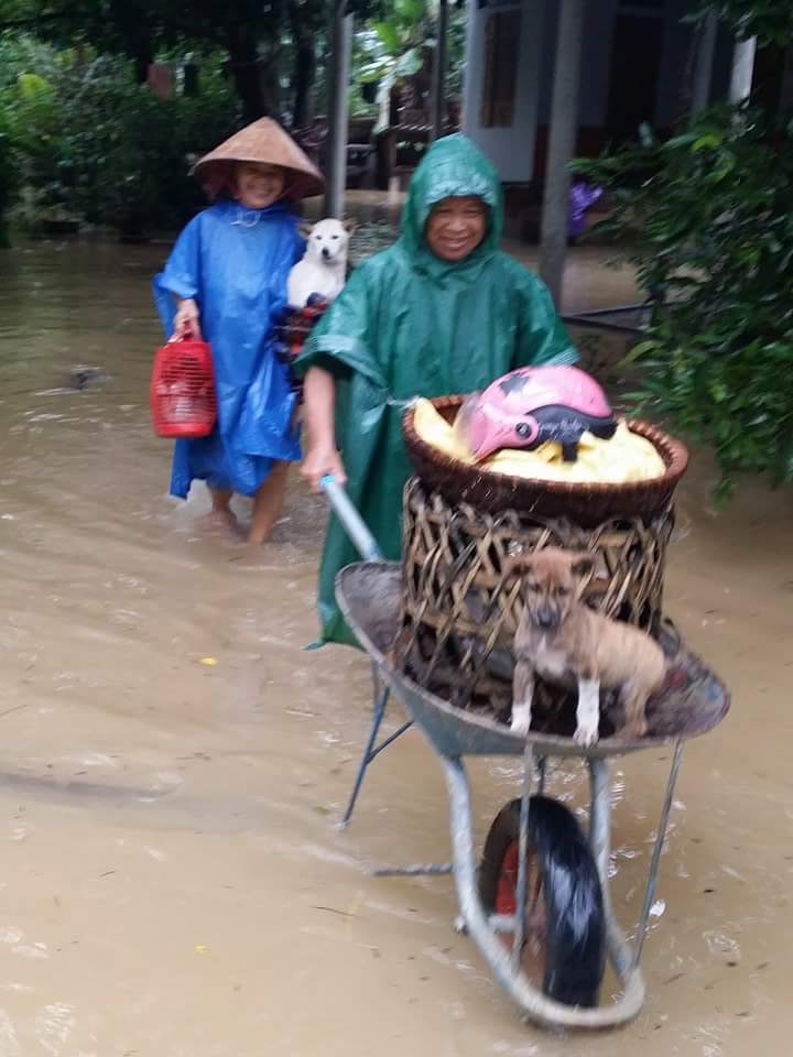 Người d&acirc;n Tuy&ecirc;n H&oacute;a chạy lũ( ảnh Ngọc H&agrave;)