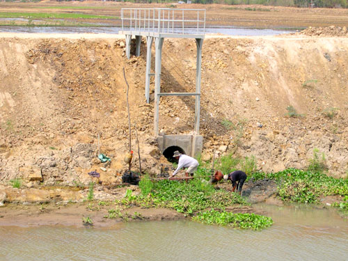 Xâm nhập mặn, hạn hán rất khốc liệt