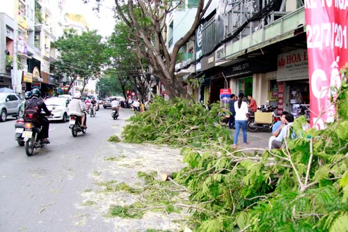 “Bóp chẹt” mảng xanh