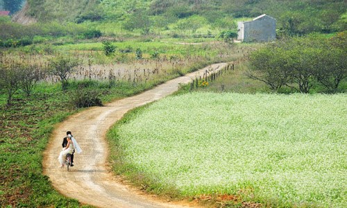 Có một mùa đông lạnh giá