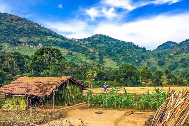 Phong cảnh đẹp như tranh tại ng&ocirc;i l&agrave;ng Lambasingi. Ảnh: Twitter