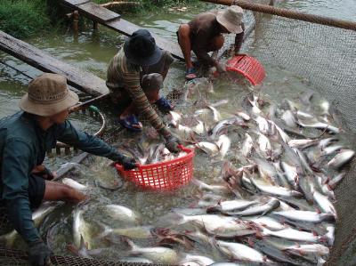 Quyết định đúng đắn