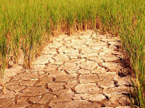 Những giải pháp khả thi