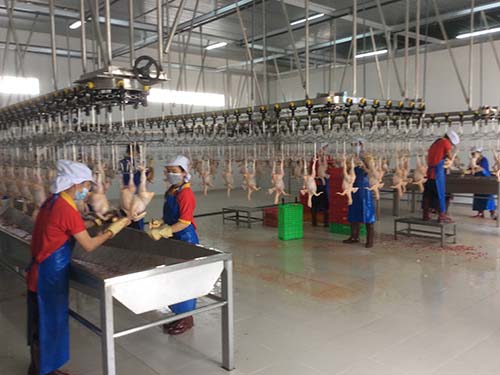 Ba Huân mở rộng thị trường nội địa