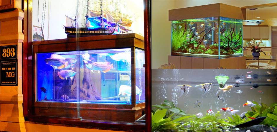 Những vị trí cần tránh khi đặt bể cá trong nhà