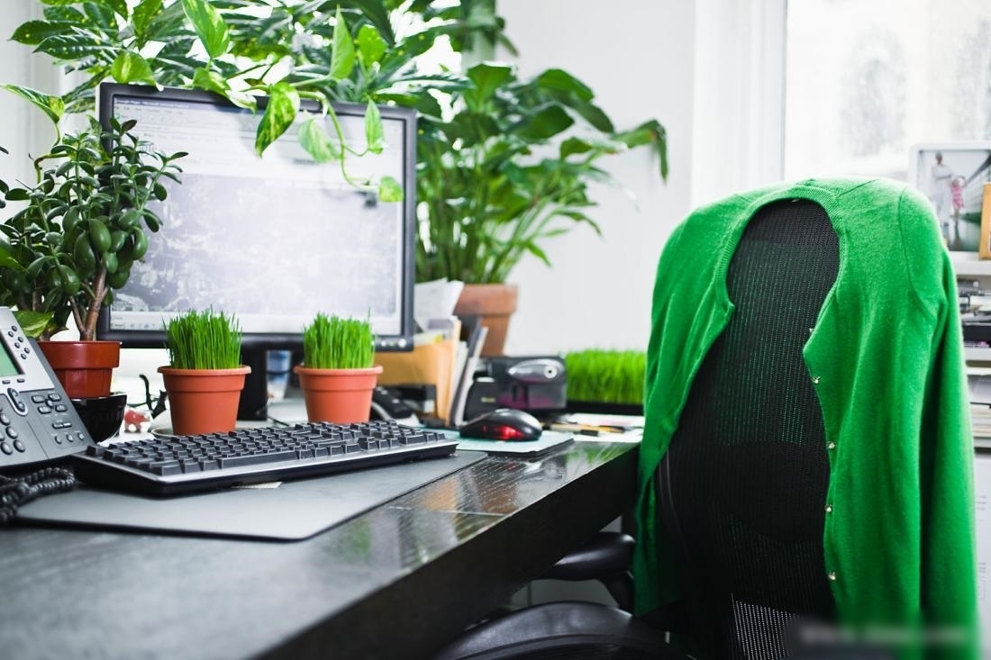 Nhiều người lầm khi đặt những vật phẩm "phong thủy" trên bàn làm việc