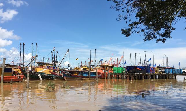 Trung Quốc đang “giết chết” biển Đông