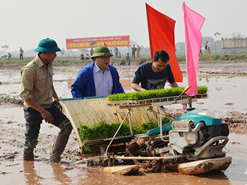 Tân Bí thư Hà Nội lội bùn cấy lúa xuân cùng nông dân