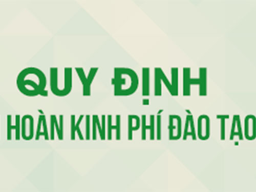 Không yêu cầu bồi thường