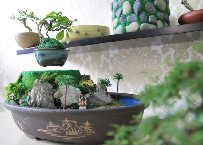 Bonsai tiền triệu bay lơ lửng hút khách hiếu kỳ