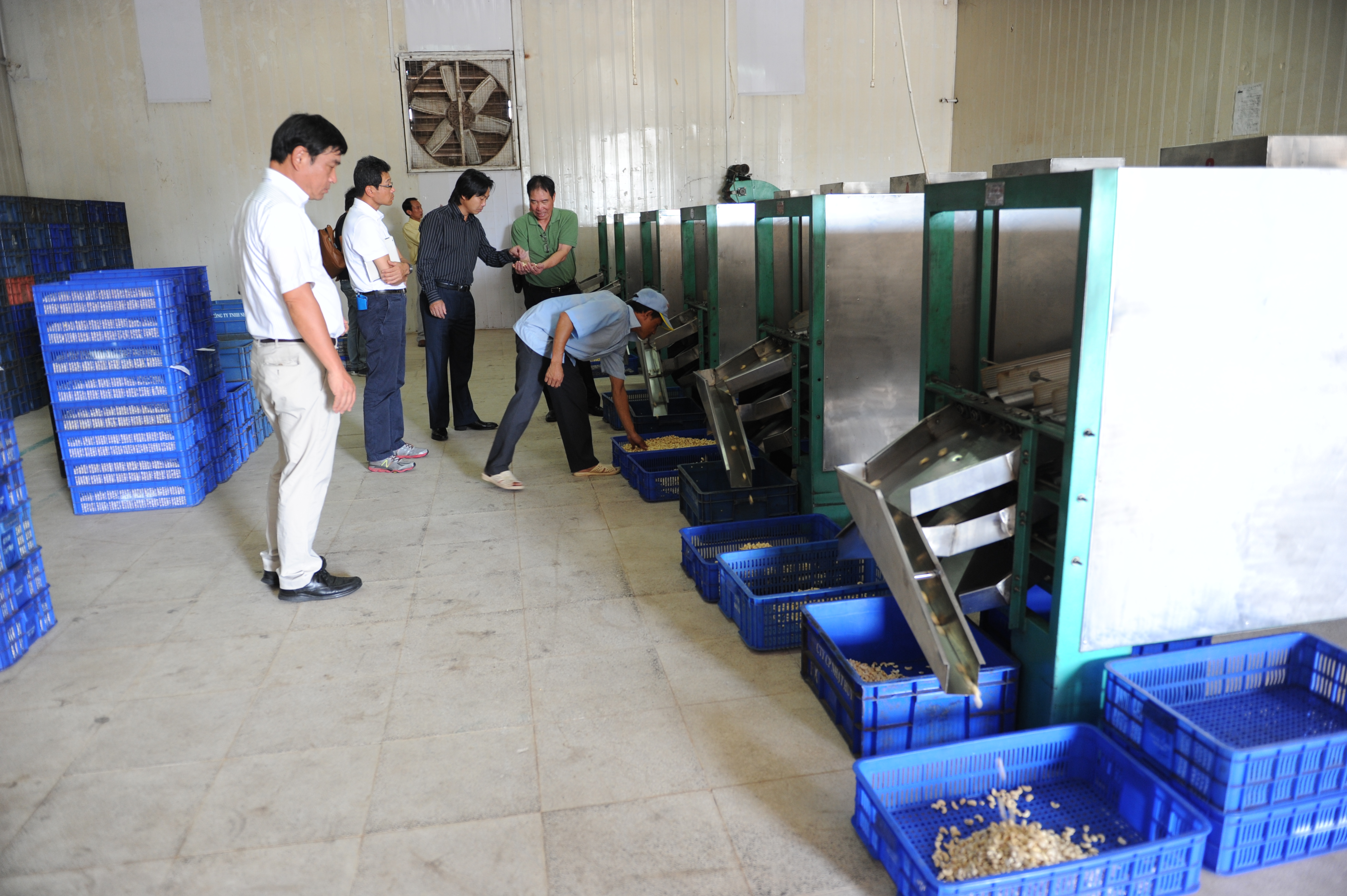 Có nên chuyển giao công nghệ chế biến điều ra nước ngoài?
