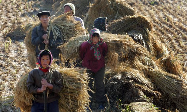 Triều Tiên có nguy cơ thiếu gần 700.000 tấn lương thực