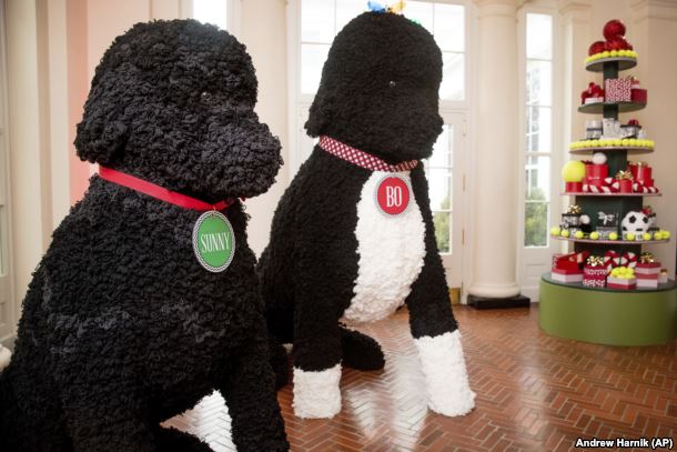 Hai mô hình chú chó cưng Sunny và Bo của gia đình ông Obama. Ảnh: AP