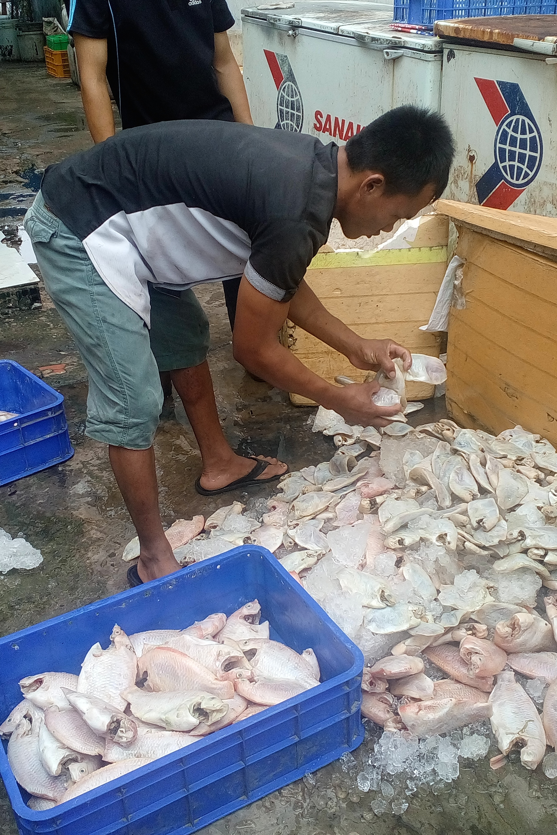 Phát hiện cả tấn cá thối tại quán cơm công nhân