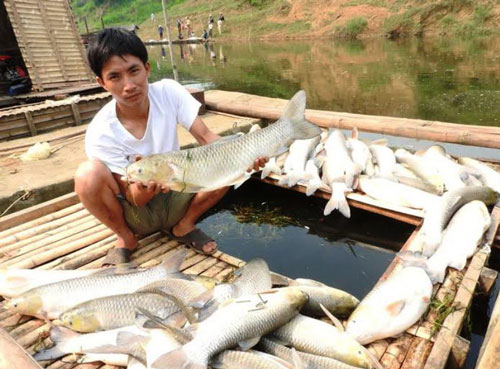 Bịt mắt trước ô nhiễm?