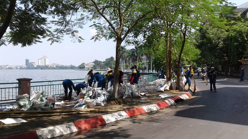 
C&aacute; chết chất th&agrave;nh đống tr&ecirc;n đường Nguyễn Đ&igrave;nh Thi được thu gom đi ti&ecirc;u huỷ
