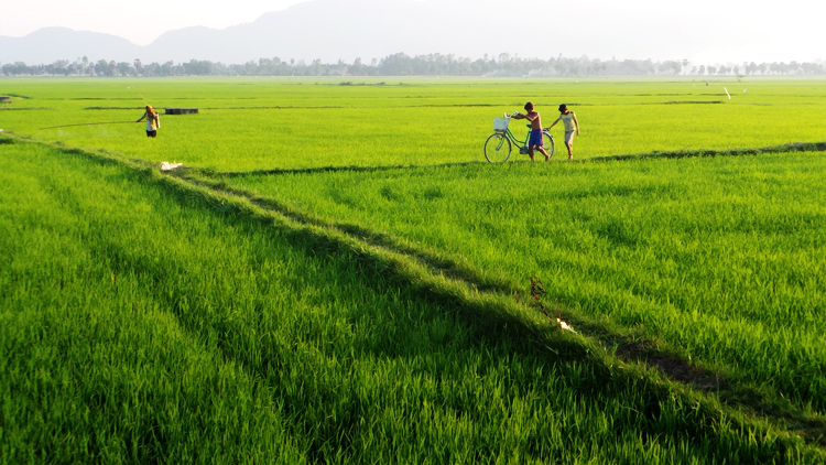 “Ròm ơi, tao yêu mày”
