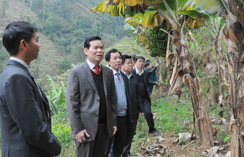 Bửu bối  “quy trình”