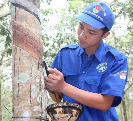 Dành 2 tỉ đồng đào tạo cán bộ Công đoàn và công nhân