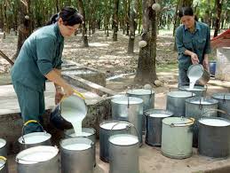 Phát động phong trào thi đua về đích sớm