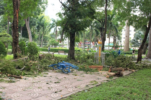 Người phụ nữ bị cây đè ở công viên Tao Đàn đã tử vong