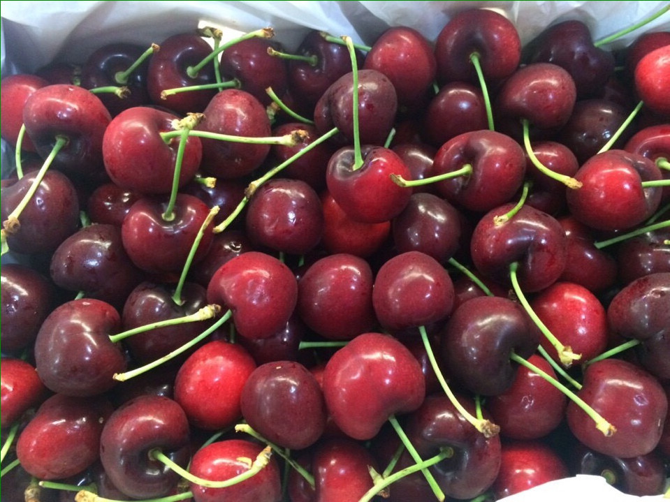 Ma trận quả cherry: Hàng Tàu "đột lốt" Mỹ, Canada...