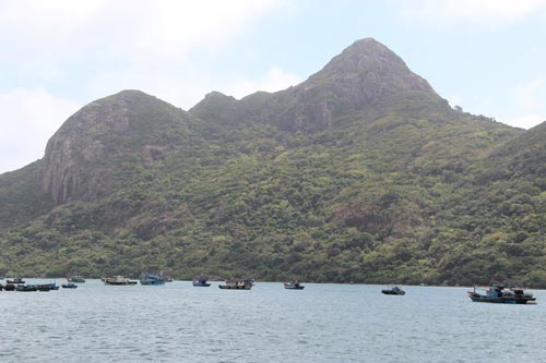 Ăn của rừng…