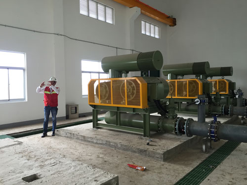 Vội vàng “đón” nhà máy giấy Trung Quốc