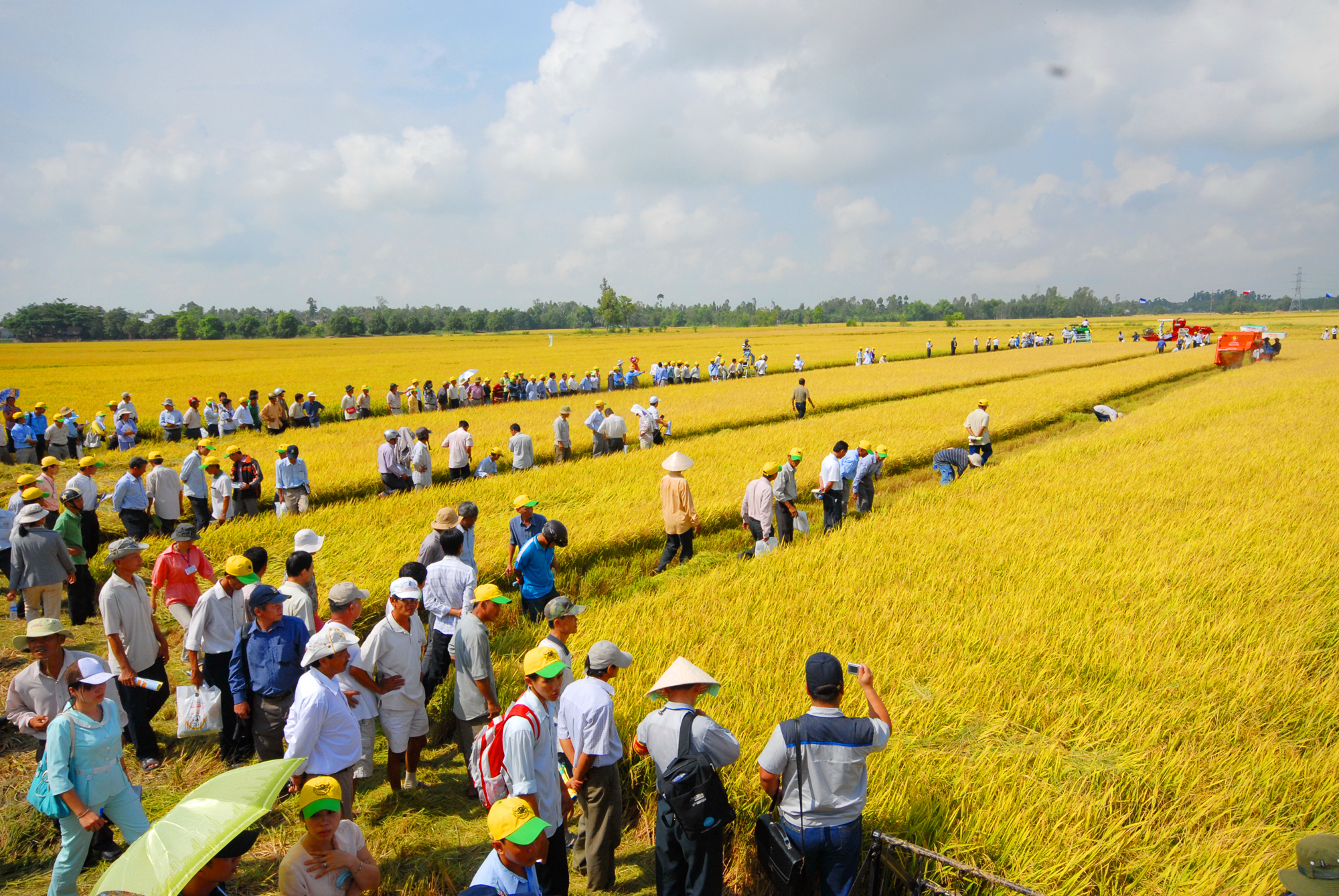 Làm mới nông nghiệp ĐBSCL