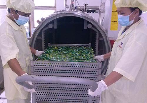 Hấp dẫn trứng cút tiệt trùng