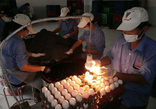 Đẩy mạnh xuất khẩu trứng muối sang thị trường Singapore
