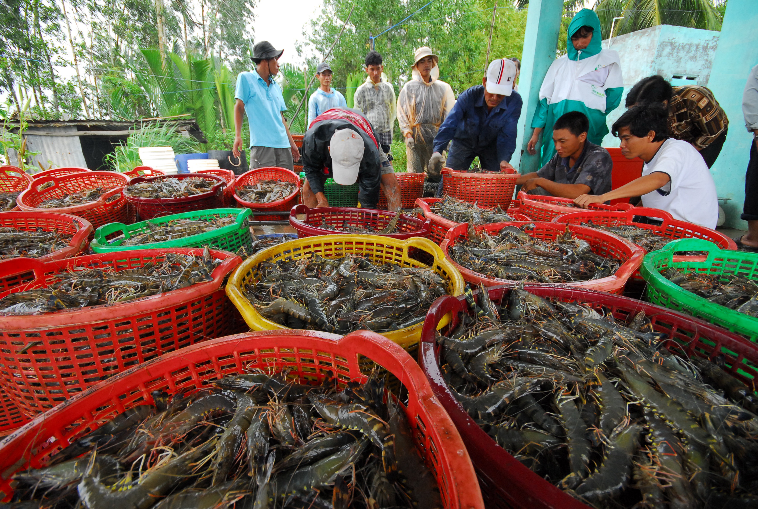 Đề nghị Bộ Tài chính không áp thuế Artemia