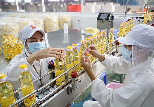 Dầu ăn từ mỡ cá - Thay đổi tầm vóc Việt