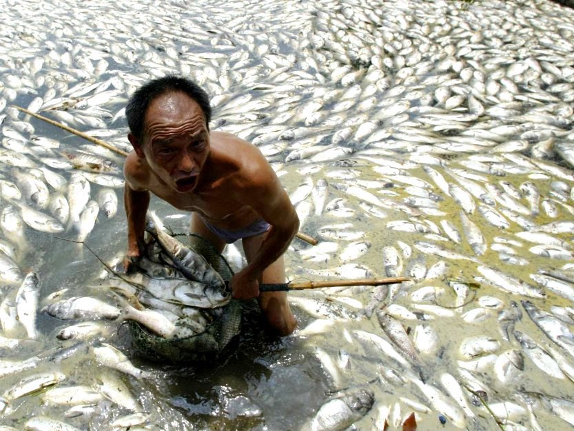 Những dòng sông “chết” ở Trung Quốc