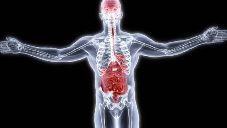 Vi khuẩn ruột liên quan với tâm thần