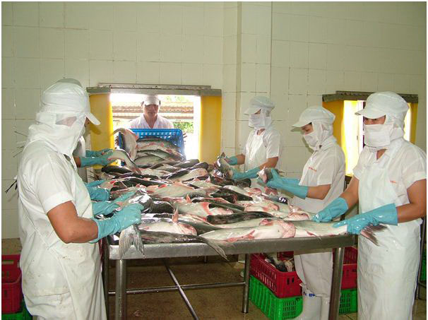 Lắng nghe và chia sẻ
