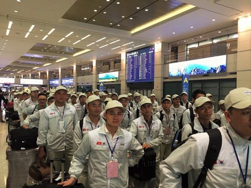 Xuất khẩu lao động sang Hàn quốc: 10 địa phương bị “cấm cửa”